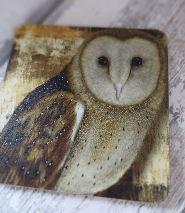 Barn owl coaster