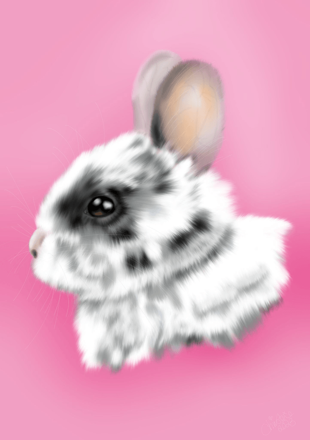 Custom Pet portrait A4 one pet