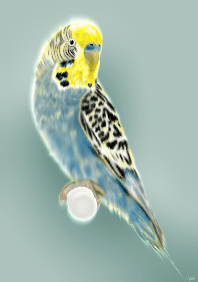 Custom Pet portrait A4 one pet